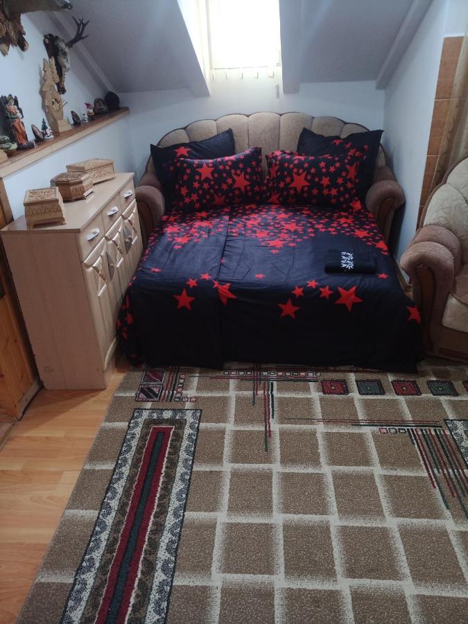 Casa Cristian Villa Câmpulung Moldovenesc Eksteriør billede