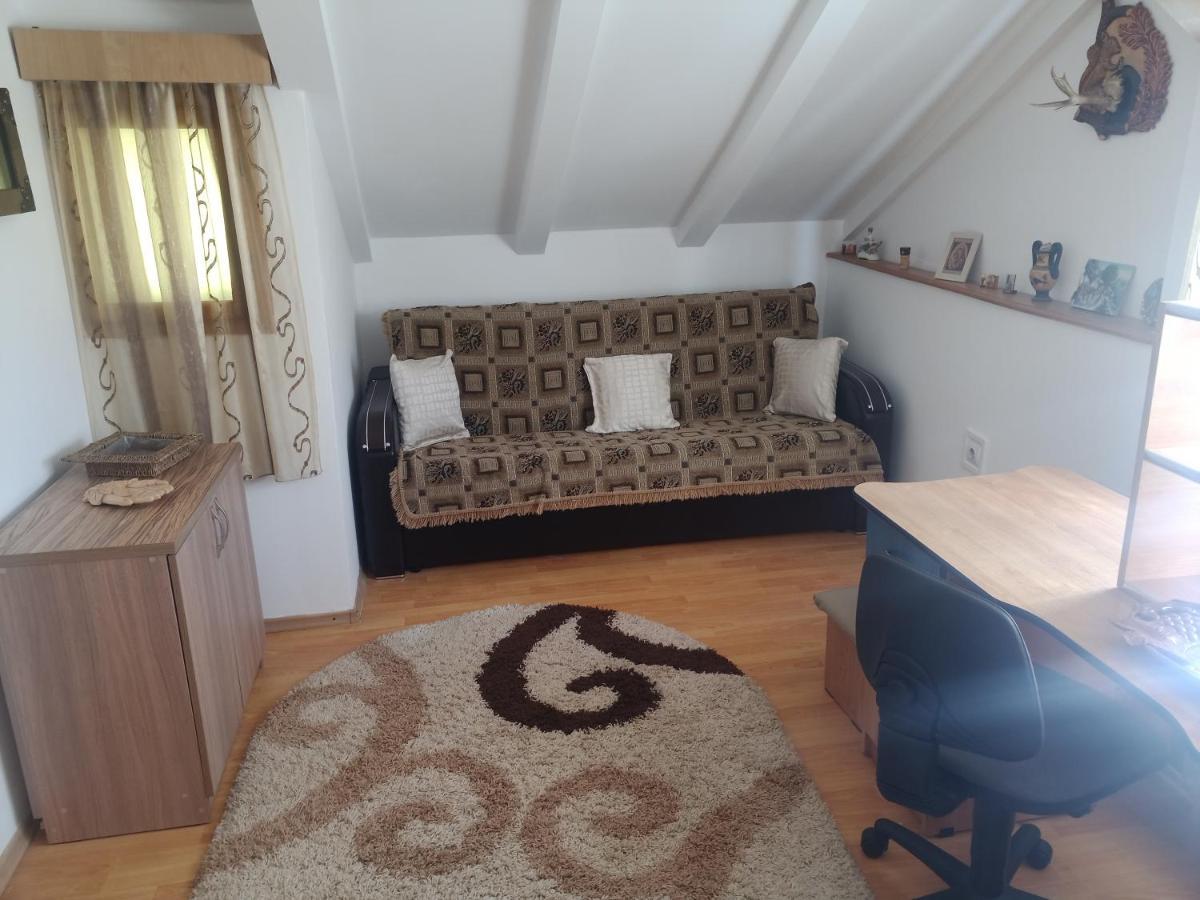Casa Cristian Villa Câmpulung Moldovenesc Eksteriør billede