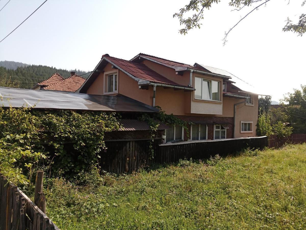Casa Cristian Villa Câmpulung Moldovenesc Eksteriør billede