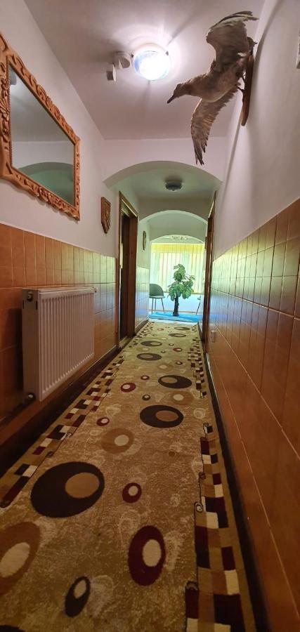 Casa Cristian Villa Câmpulung Moldovenesc Eksteriør billede