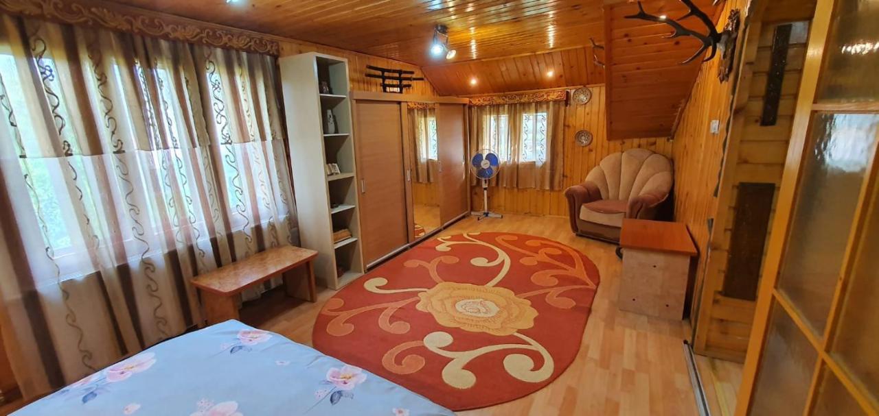 Casa Cristian Villa Câmpulung Moldovenesc Eksteriør billede