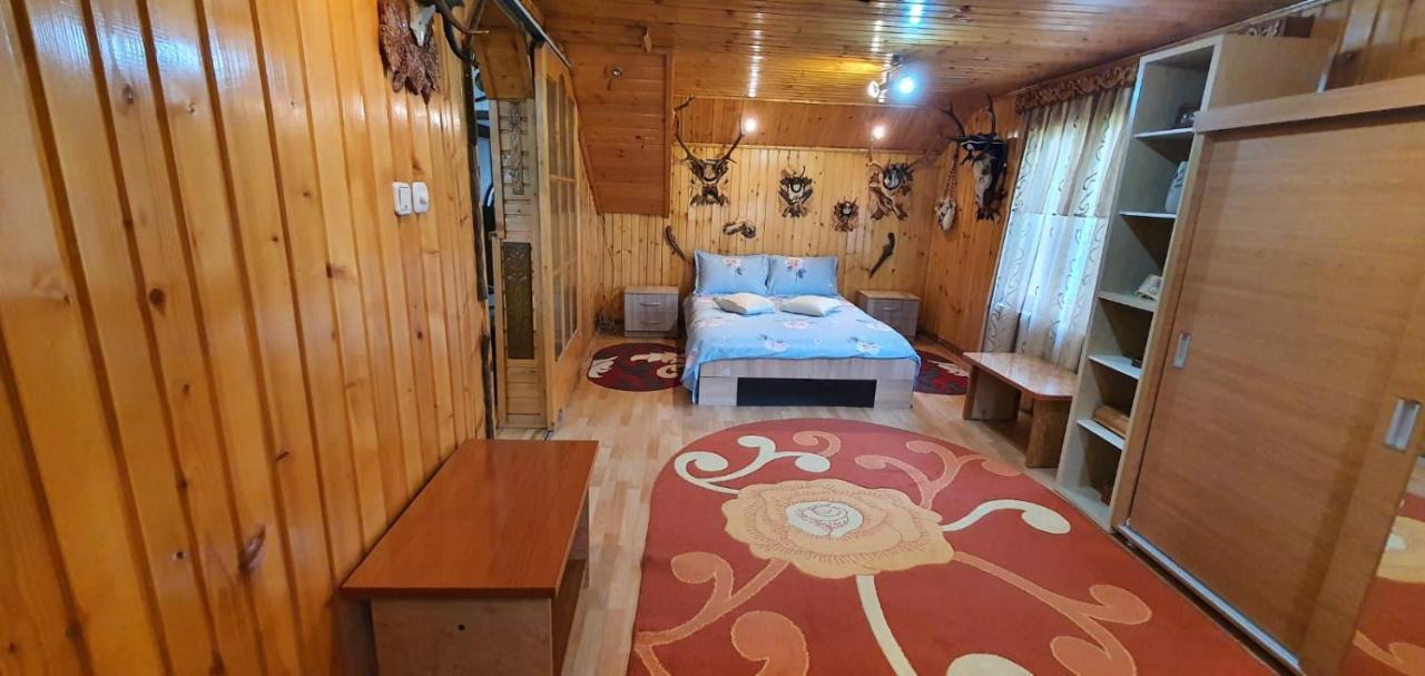 Casa Cristian Villa Câmpulung Moldovenesc Eksteriør billede