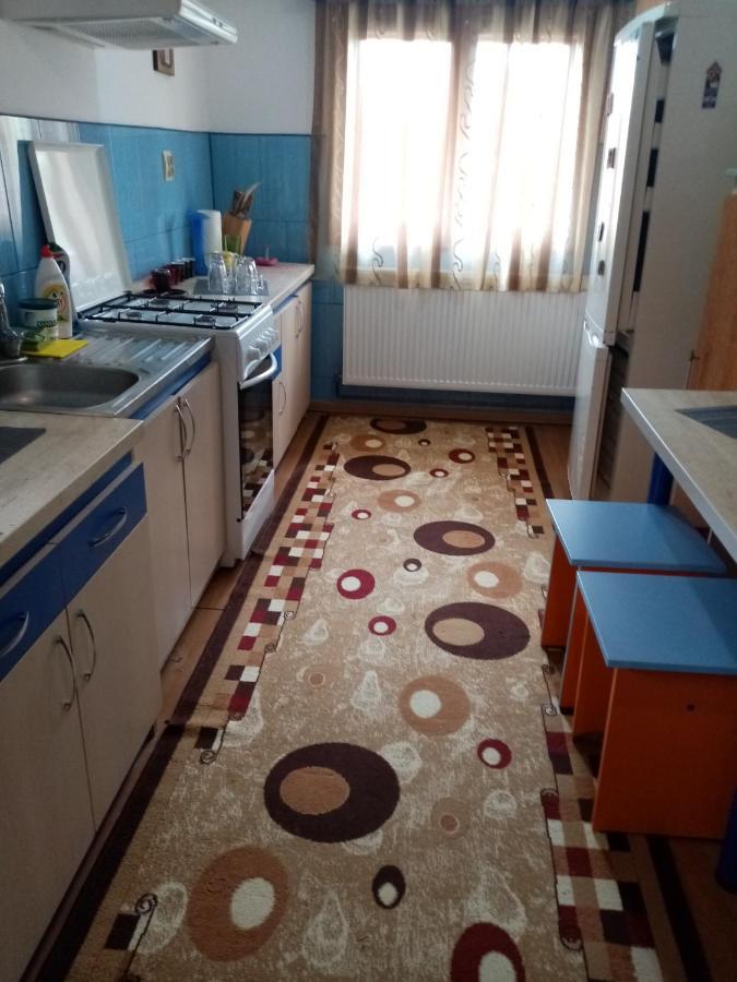 Casa Cristian Villa Câmpulung Moldovenesc Eksteriør billede