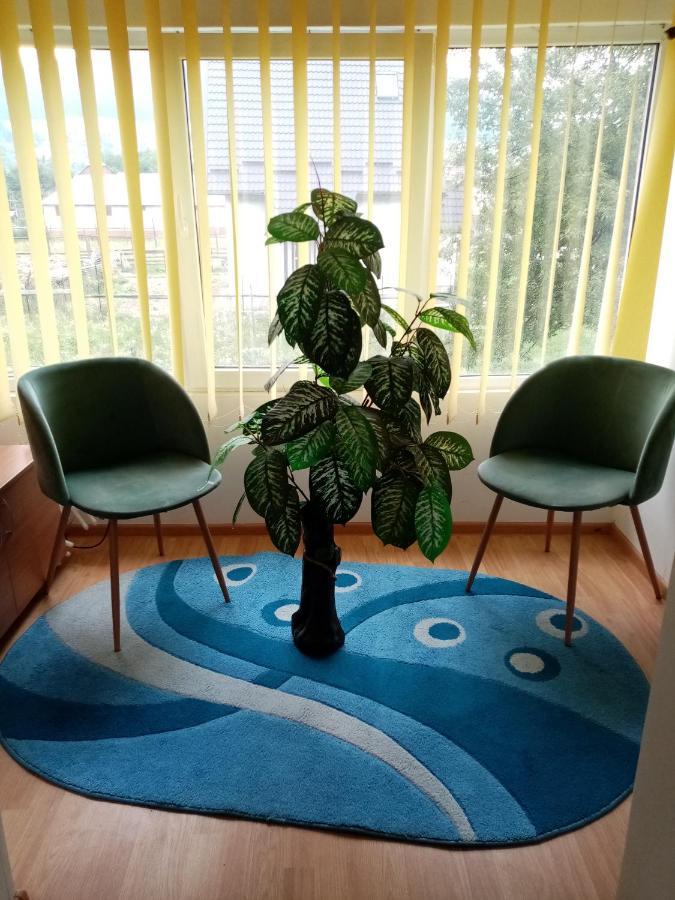 Casa Cristian Villa Câmpulung Moldovenesc Eksteriør billede