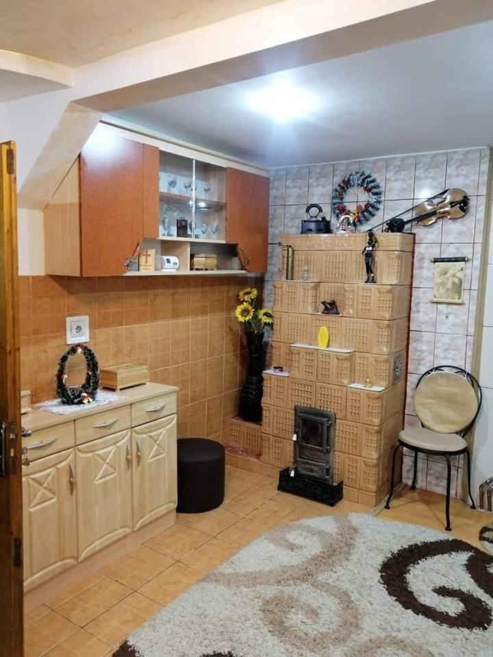 Casa Cristian Villa Câmpulung Moldovenesc Eksteriør billede
