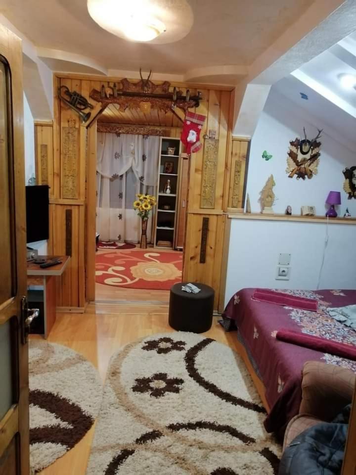Casa Cristian Villa Câmpulung Moldovenesc Eksteriør billede